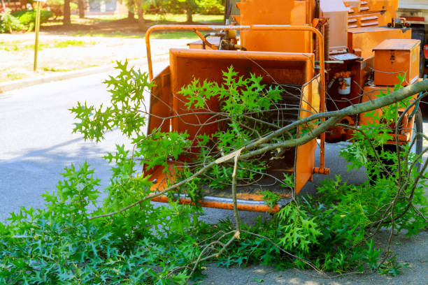 Soil Testing and Treatment in Castroville, TX